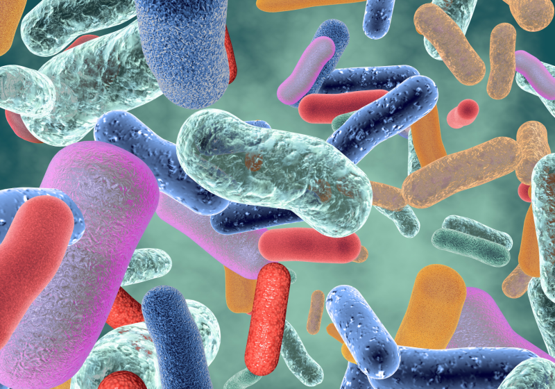 Artificial Intelligence Discovers Potent Antibiotic 4